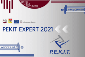 pekit expert 2021